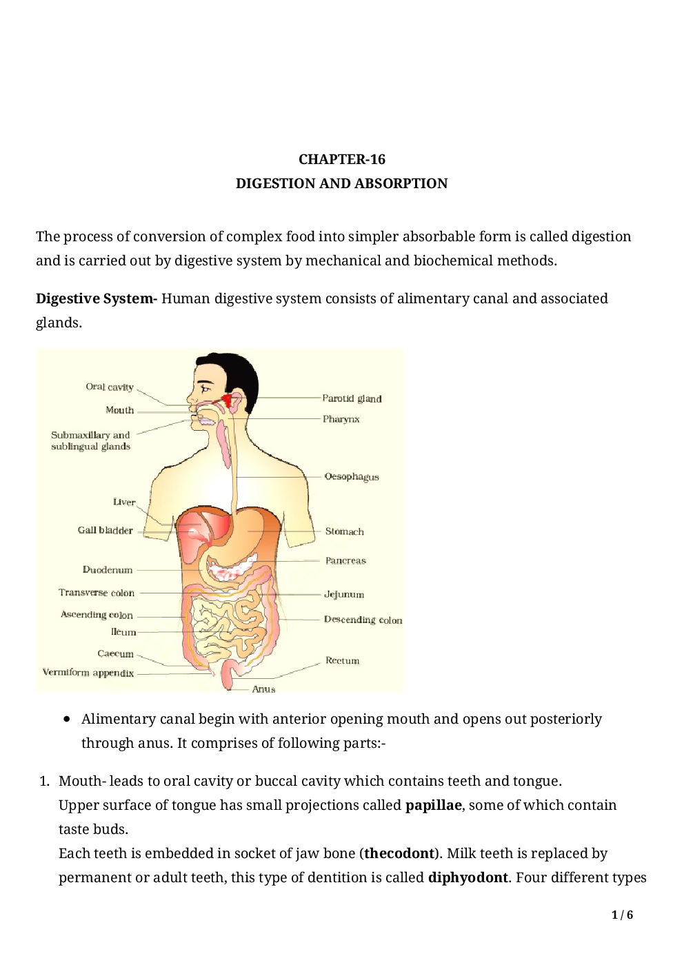 Biology-Digestion And Absorption Class11 - Page 3