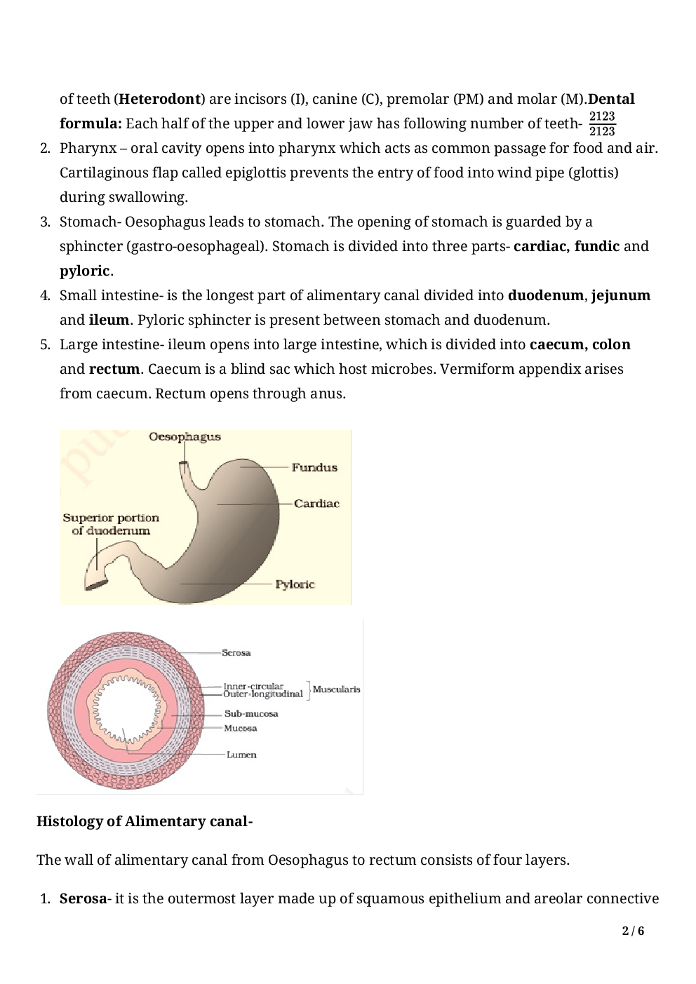 Biology-Digestion And Absorption Class11 - Page 4