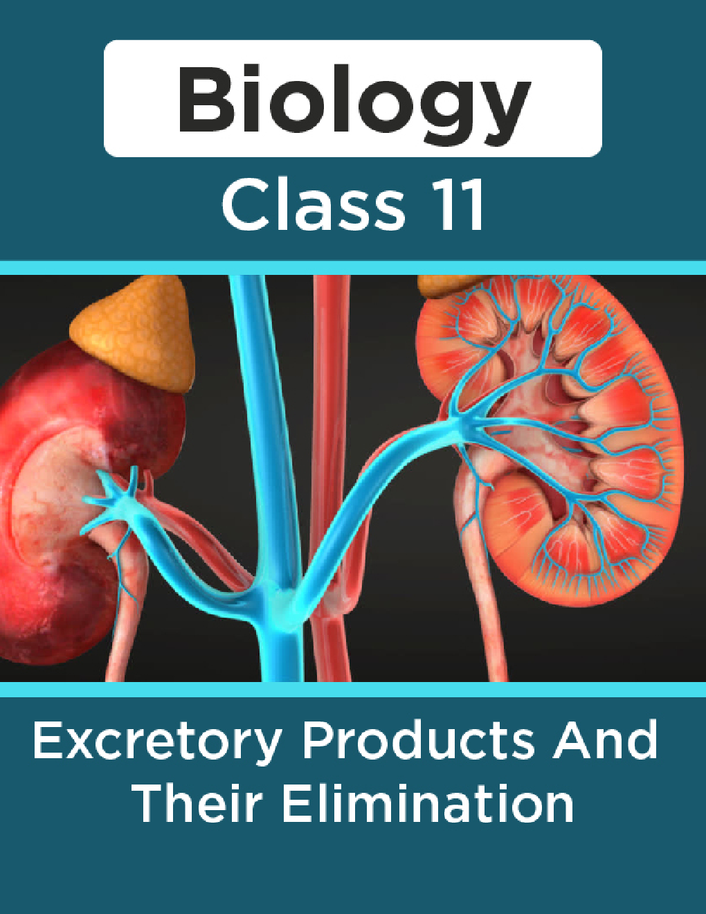 Biology-Excretory Products And Their Elimination Class11 - Page 1