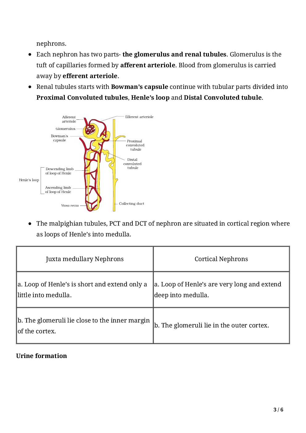 Biology-Excretory Products And Their Elimination Class11 - Page 5