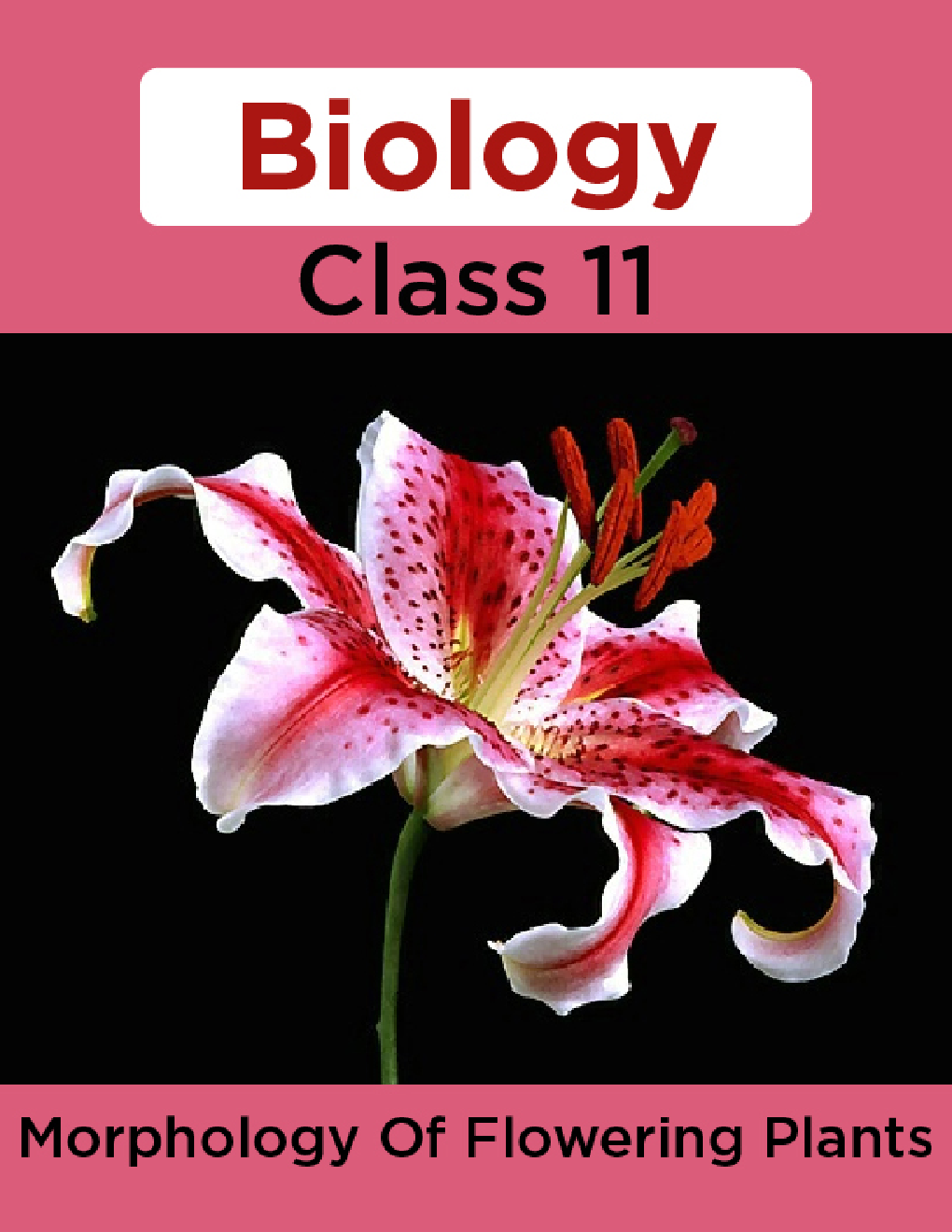 Biology-Morphology Of Flowering Plants Class11 - Page 1