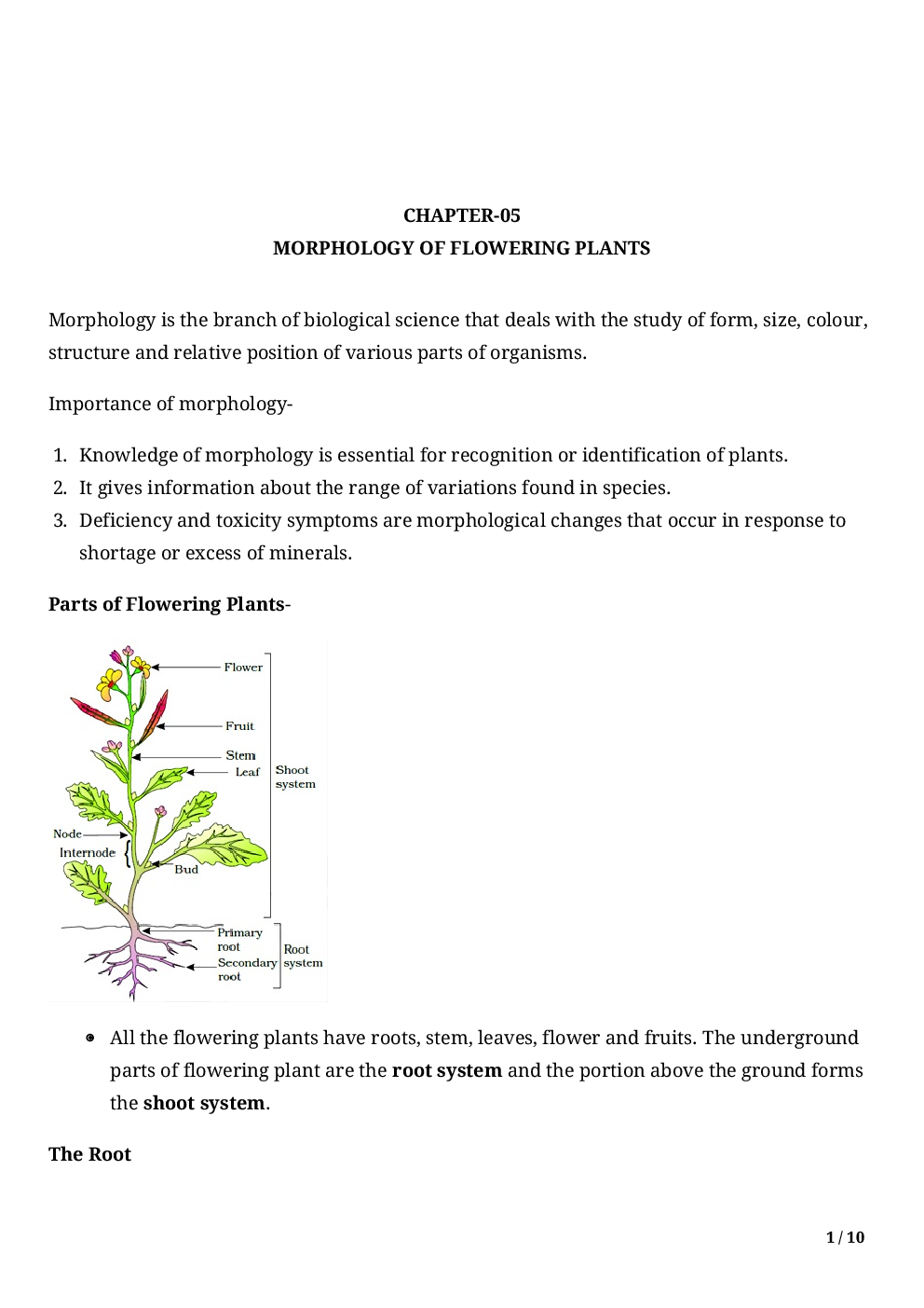 Biology-Morphology Of Flowering Plants Class11 - Page 3