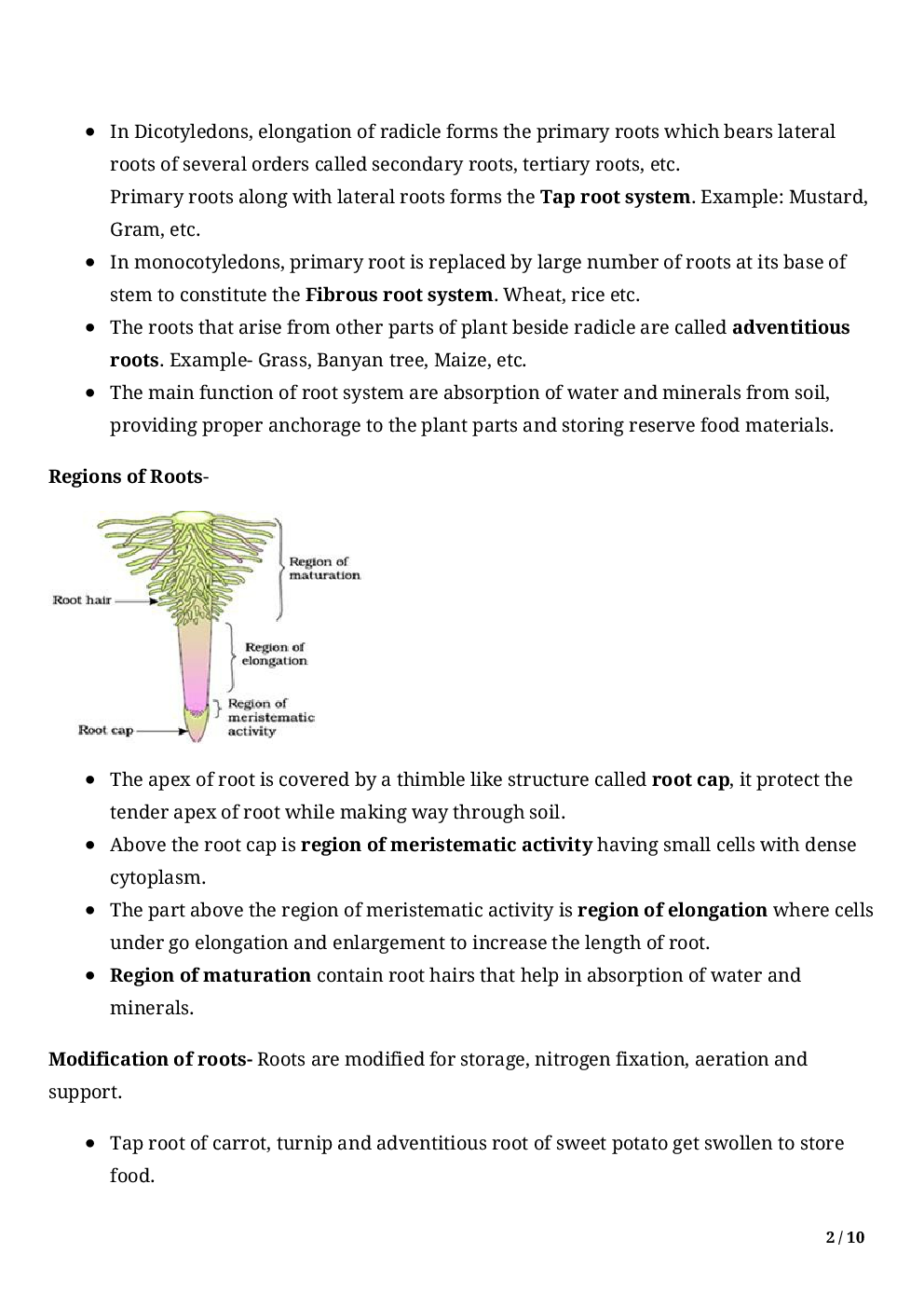 Biology-Morphology Of Flowering Plants Class11 - Page 4