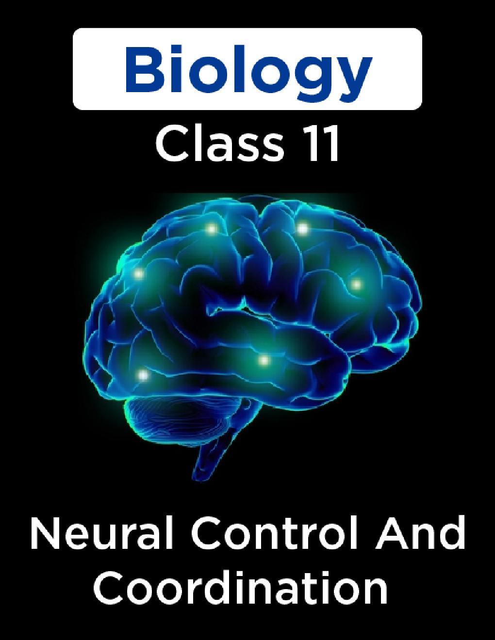 Biology-Neural Control And Coordination Class11 - Page 1