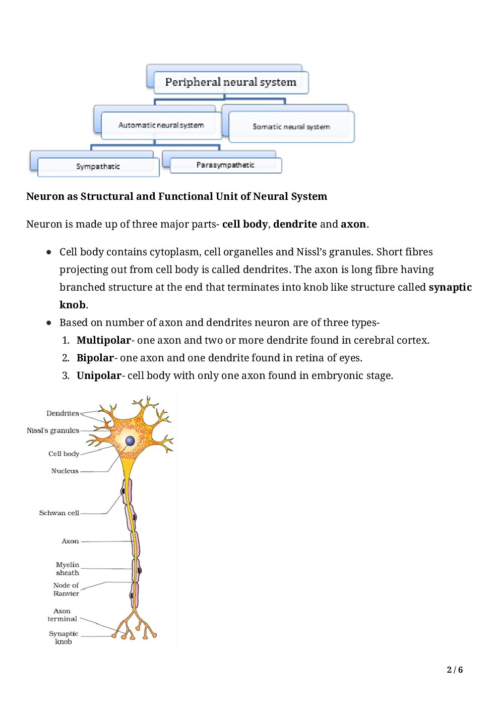 Biology-Neural Control And Coordination Class11 - Page 4