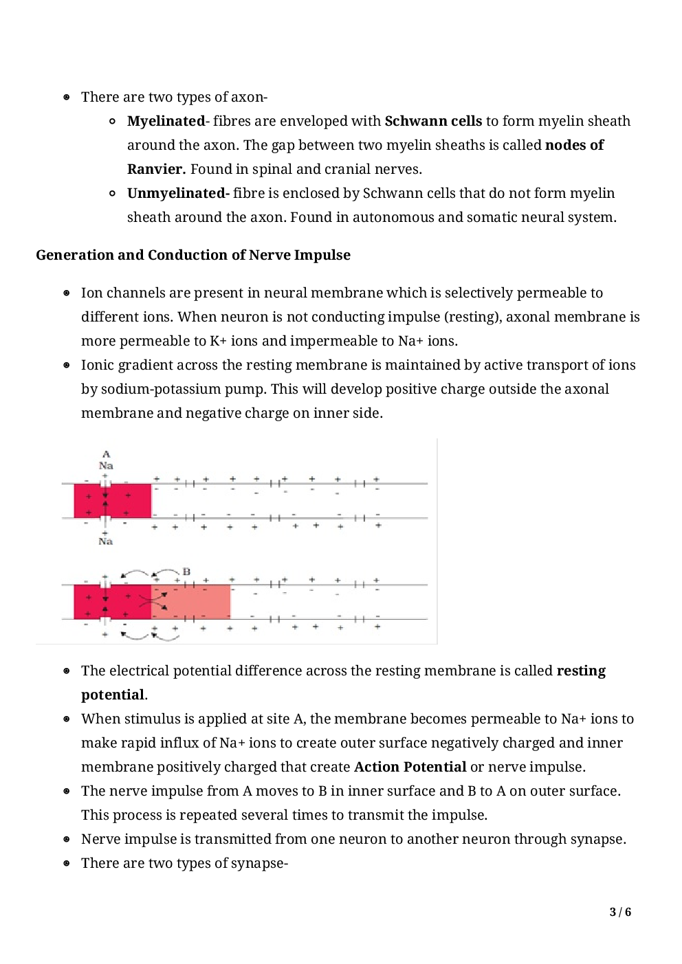 Biology-Neural Control And Coordination Class11 - Page 5