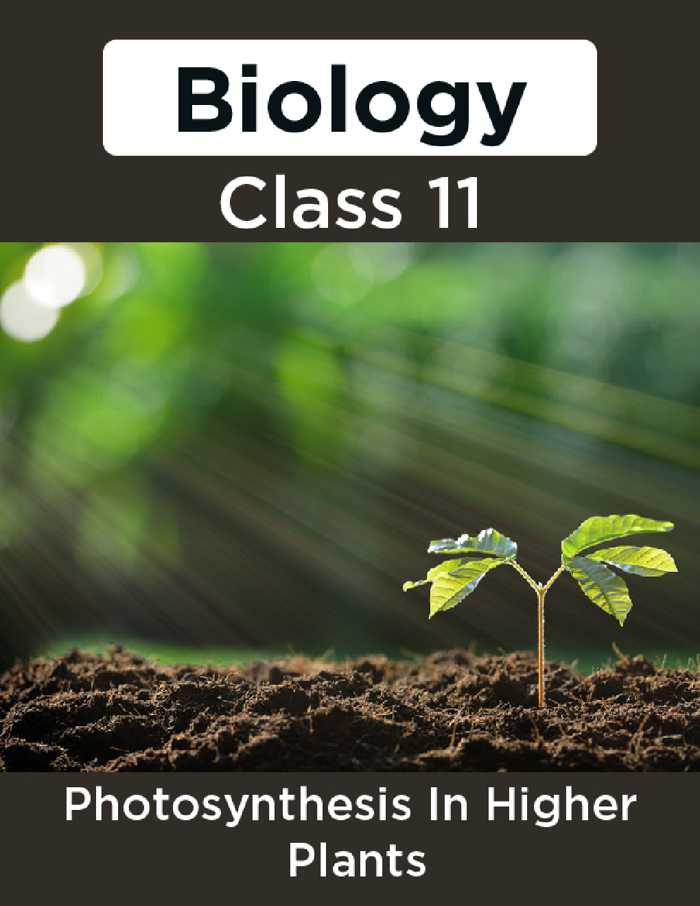 Biology-Photosymthesis In Higher Plants Class11 - Page 1
