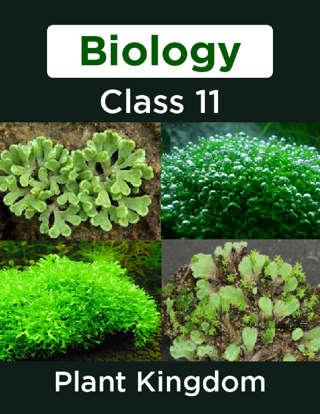 Biology-Plant Kingdom Class11 - Page 1
