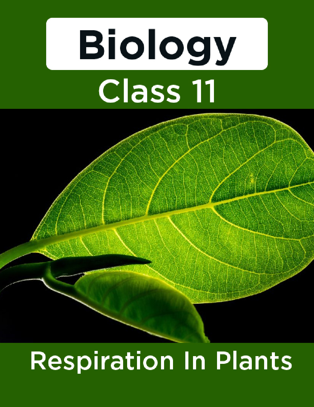 Biology-Respiration In Plants Class11 - Page 1