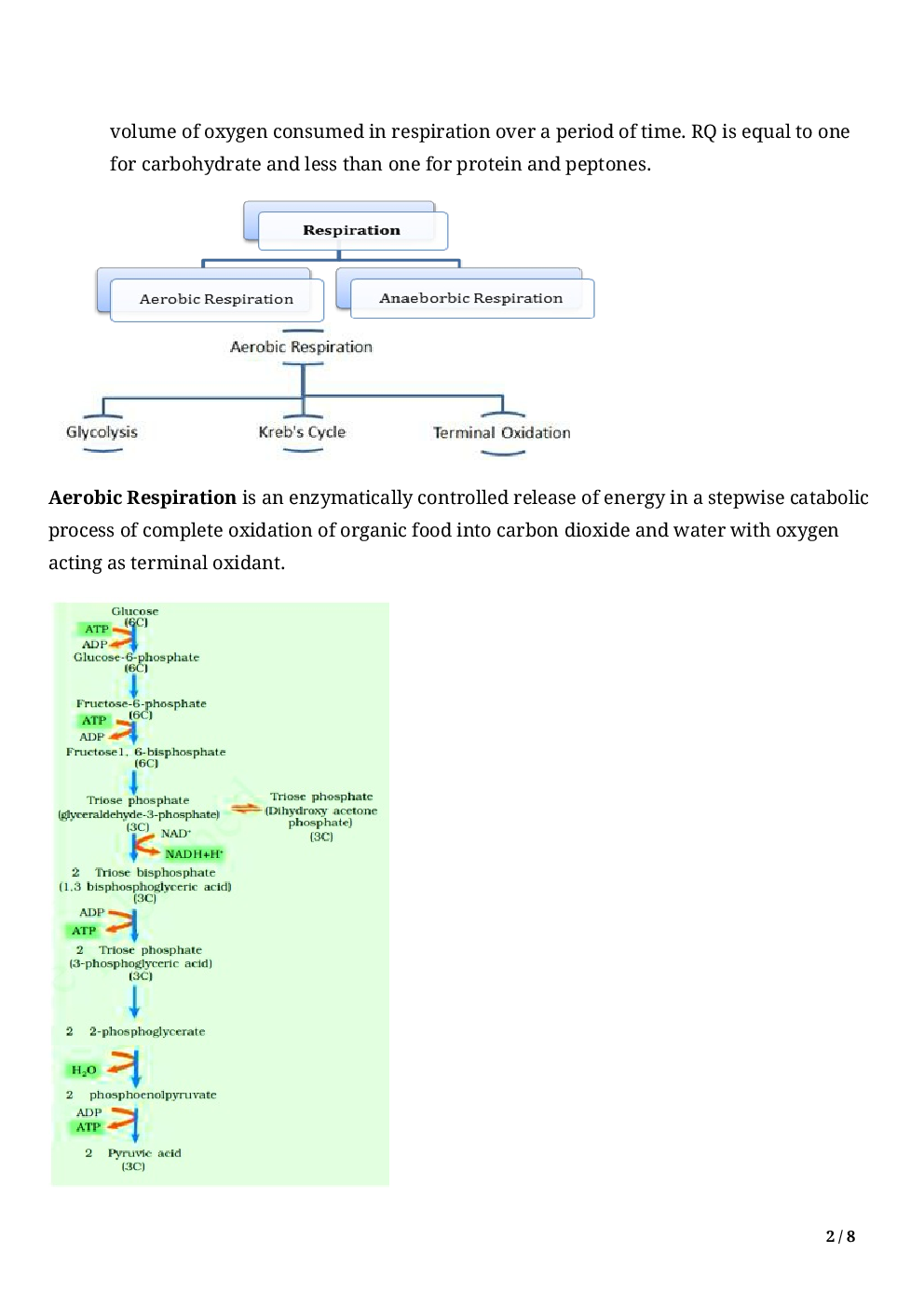 Biology-Respiration In Plants Class11 - Page 4