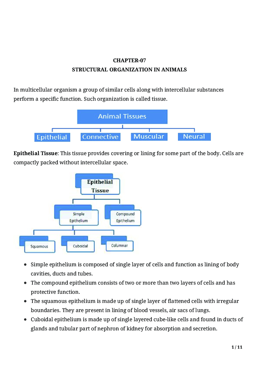 Biology-Structural Organisation In Animals Class11 - Page 3