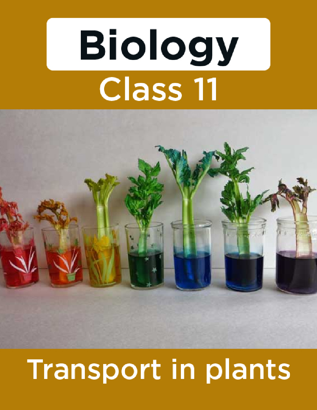 Biology-Transport In Plants Class11 - Page 1