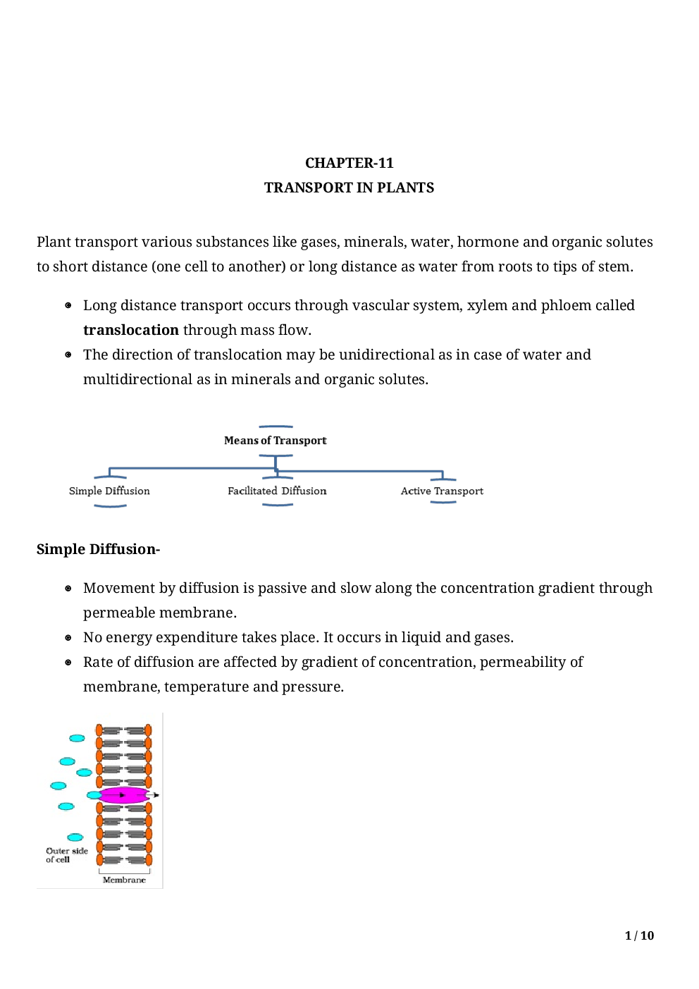 Biology-Transport In Plants Class11 - Page 3