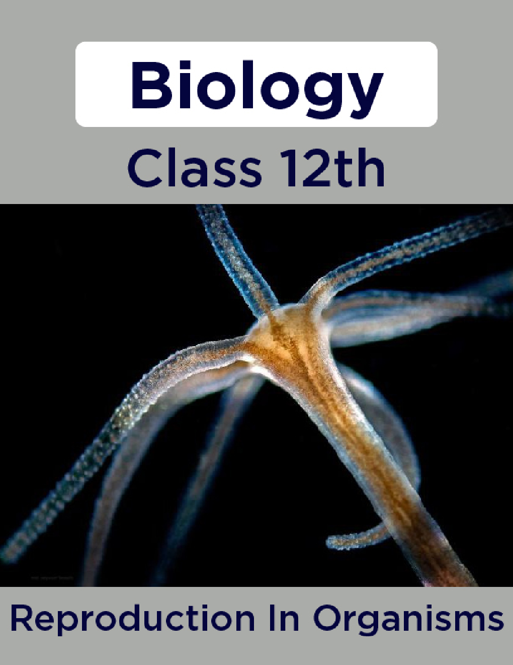 Biology-Reproduction In Organisms Class 12th - Page 1