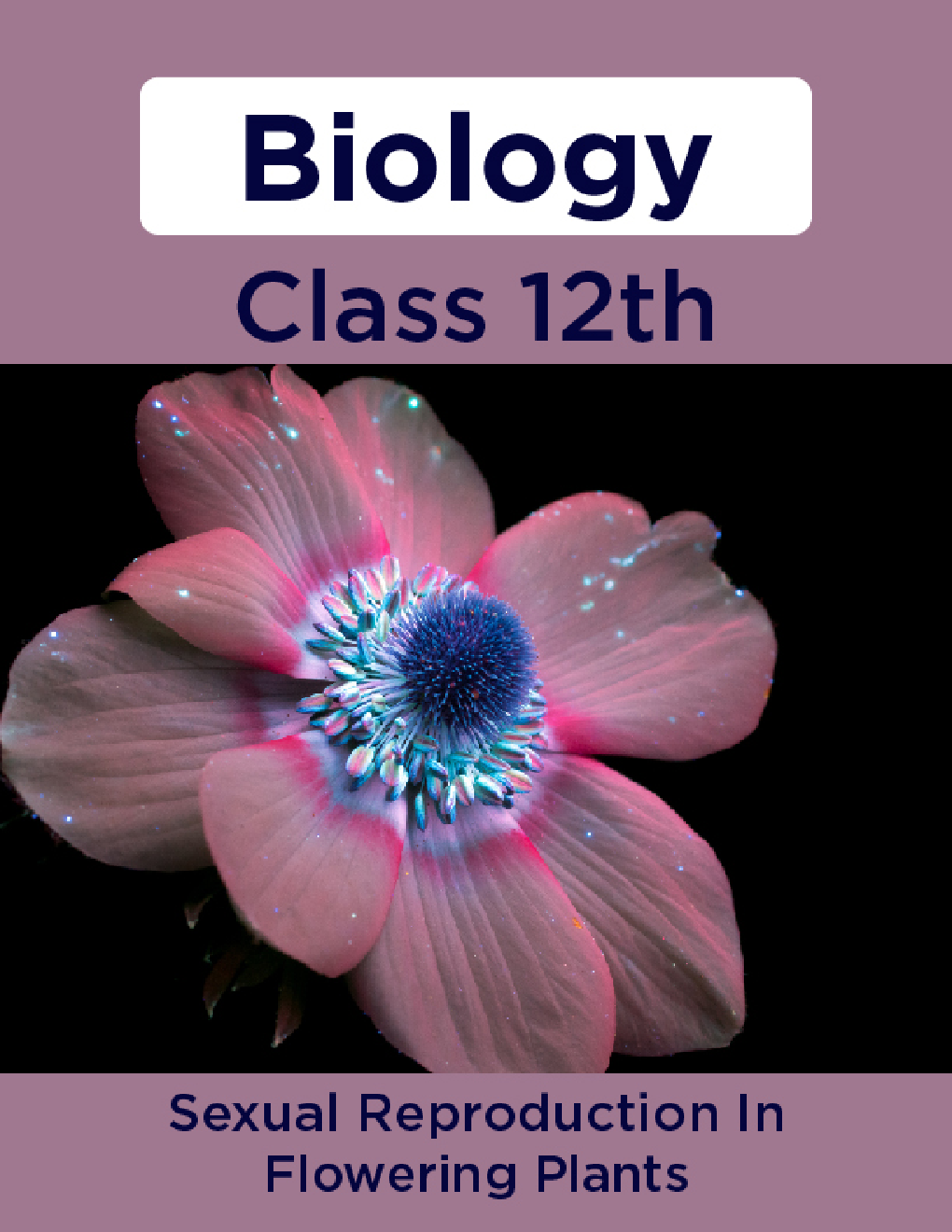 Biology-Sexual Reproduction In Flowering Plants Class 12th - Page 1