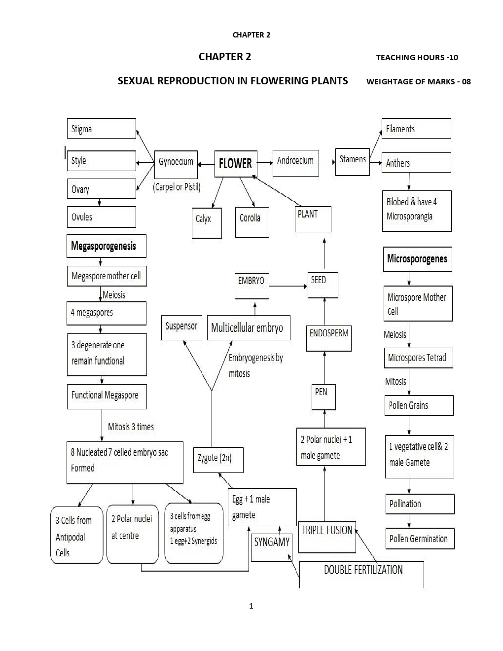 Biology-Sexual Reproduction In Flowering Plants Class 12th - Page 3