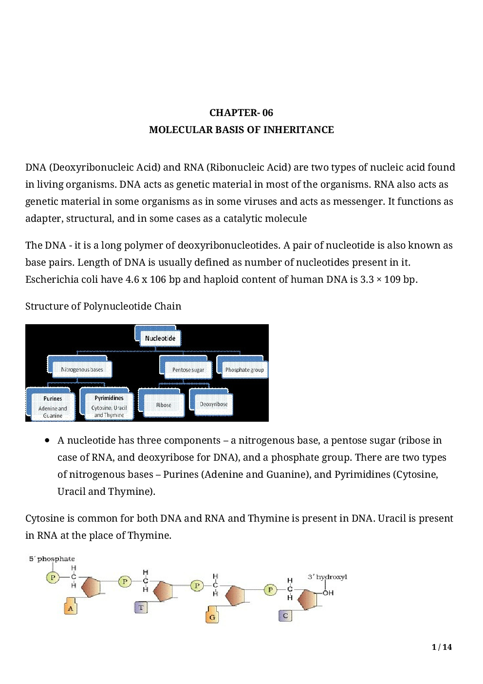 Biology - Molecular Basis Of Inheritance Class 12th - Page 3