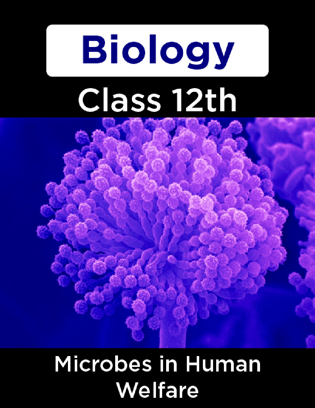 Biology-Microbes in Human Welfare Class 12th - Page 1