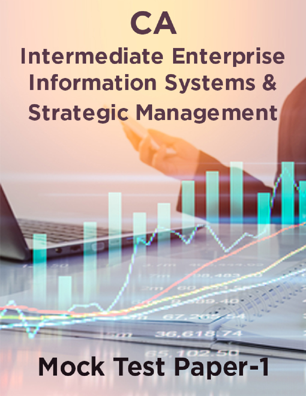 CA Intermediate Enterprise Information Systems And Strategic Management Mock Test Paper-1 - Page 1