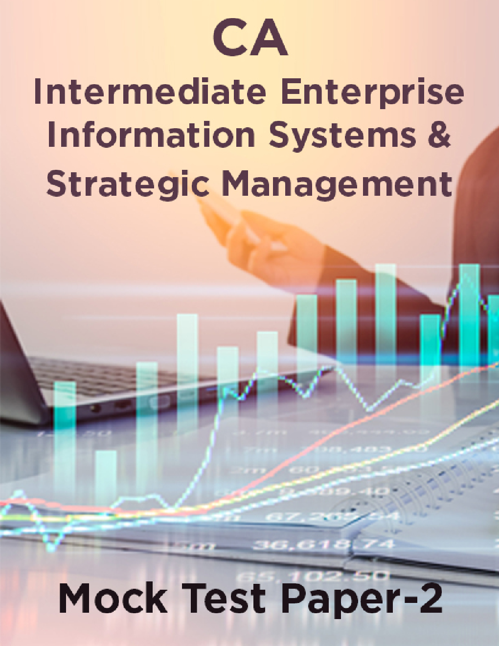 CA Intermediate Enterprise Information Systems And Strategic Management Mock Test Paper-2 - Page 1