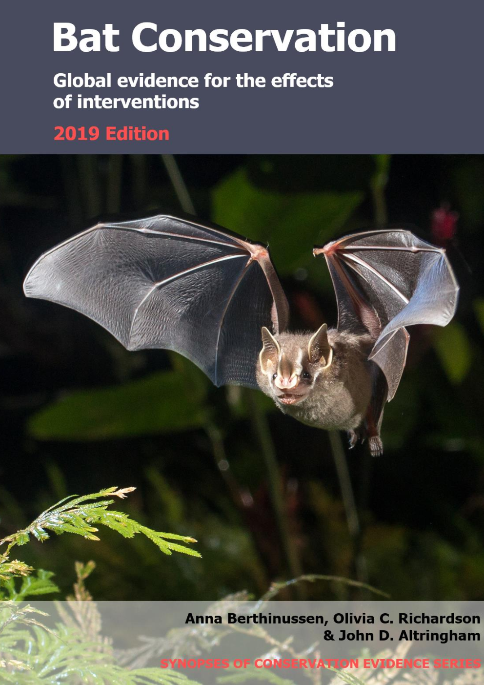 Bat Conservation Global Evidence For The Effects Of Interventions 2019 Edition - Page 1