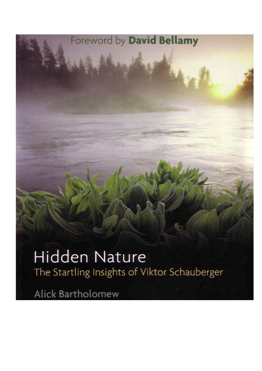 Hidden Nature - Page 1