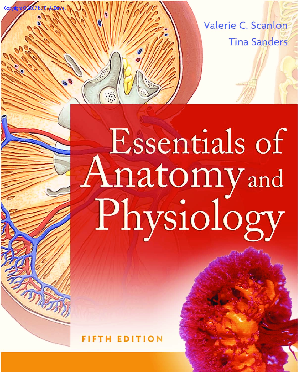 Essentials Of Anatomy And Physiology - Page 1
