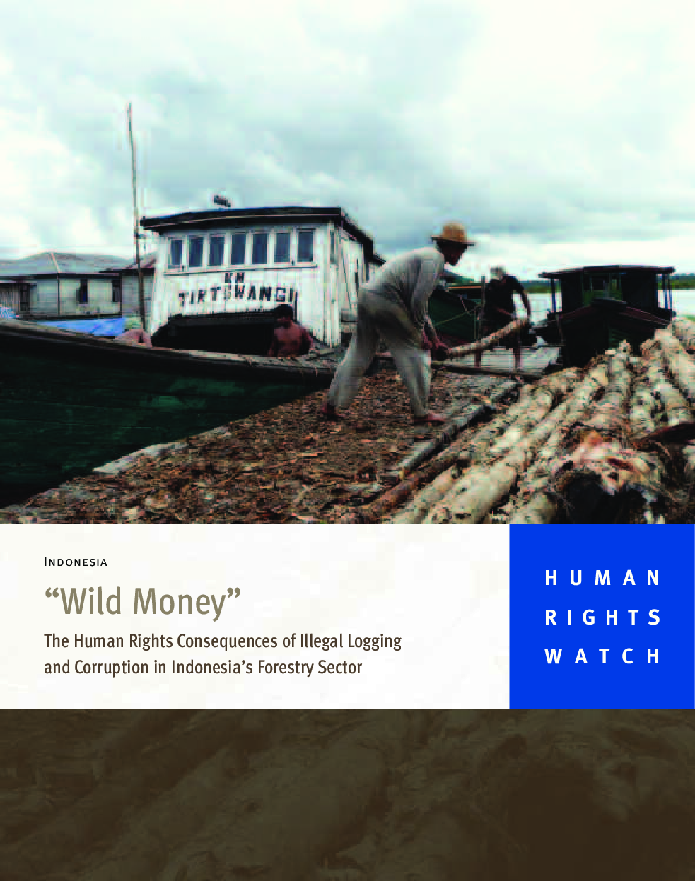 Indonesia Wild Money - Page 1