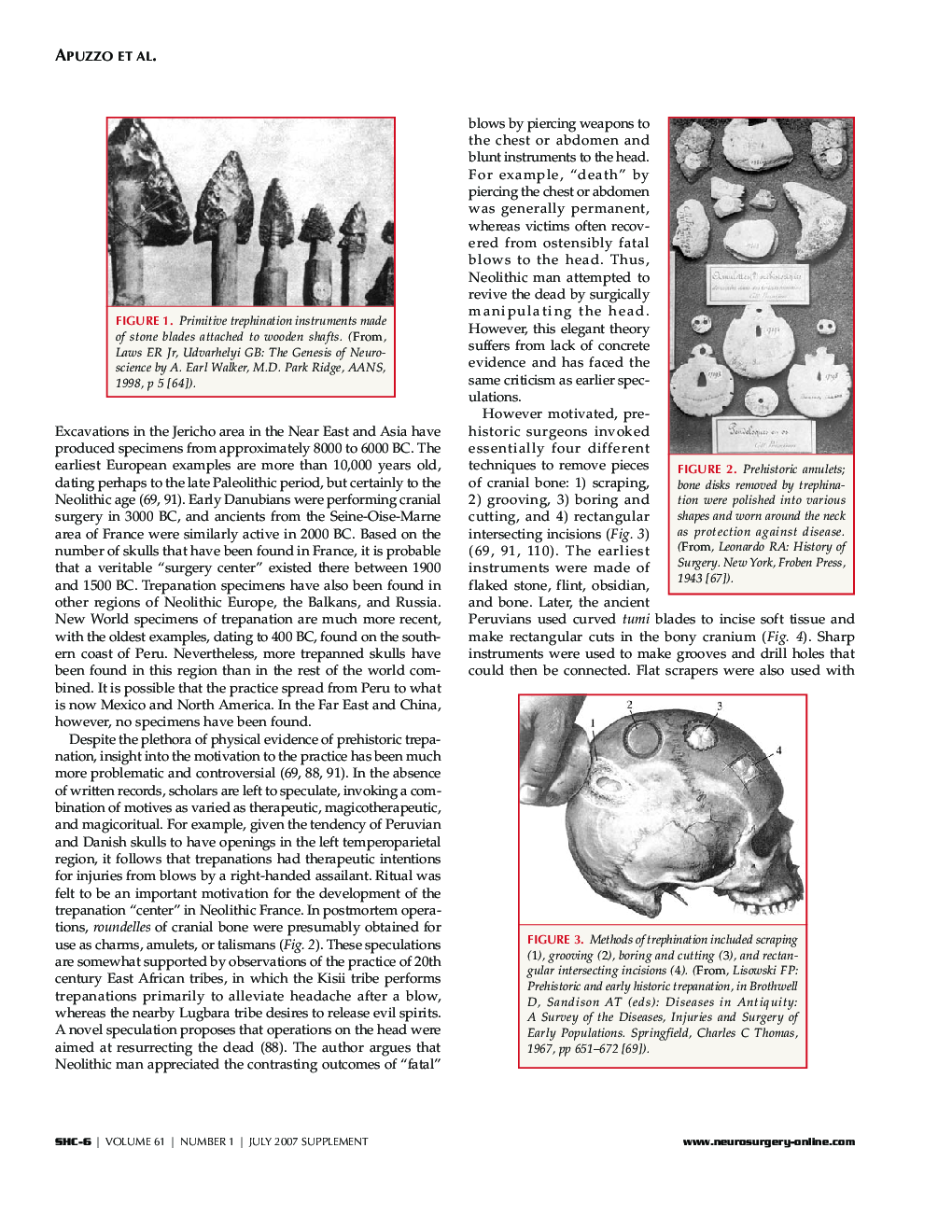 Surgery of The Human Cerebrum Part-I - Page 4