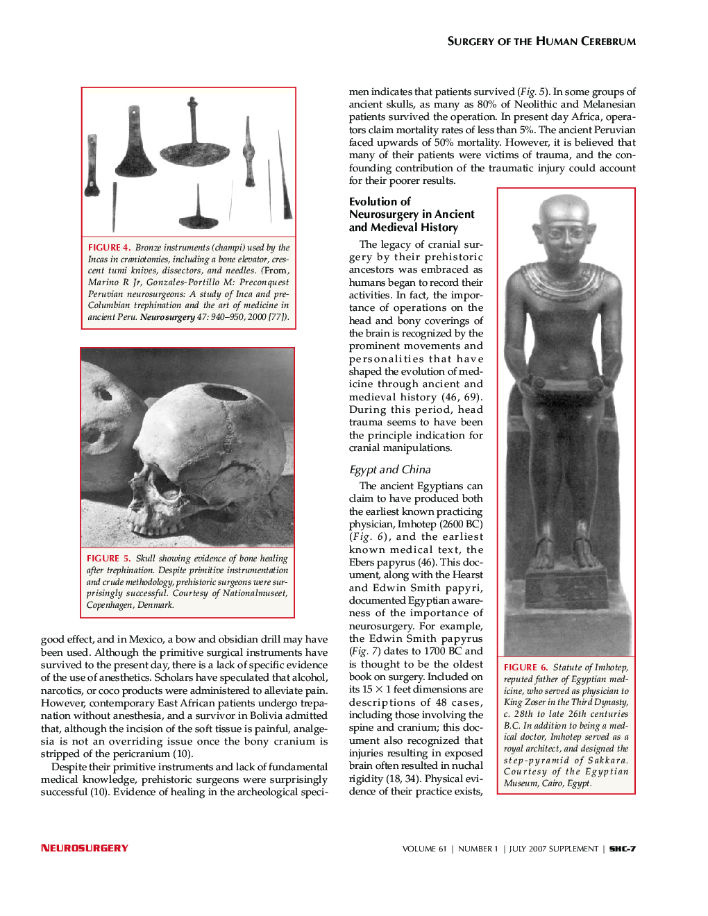 Surgery of The Human Cerebrum Part-I - Page 5