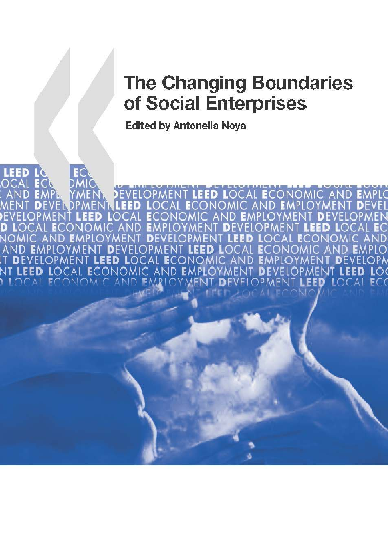 The Changing Boundaries Of Social Enterprises - Page 1