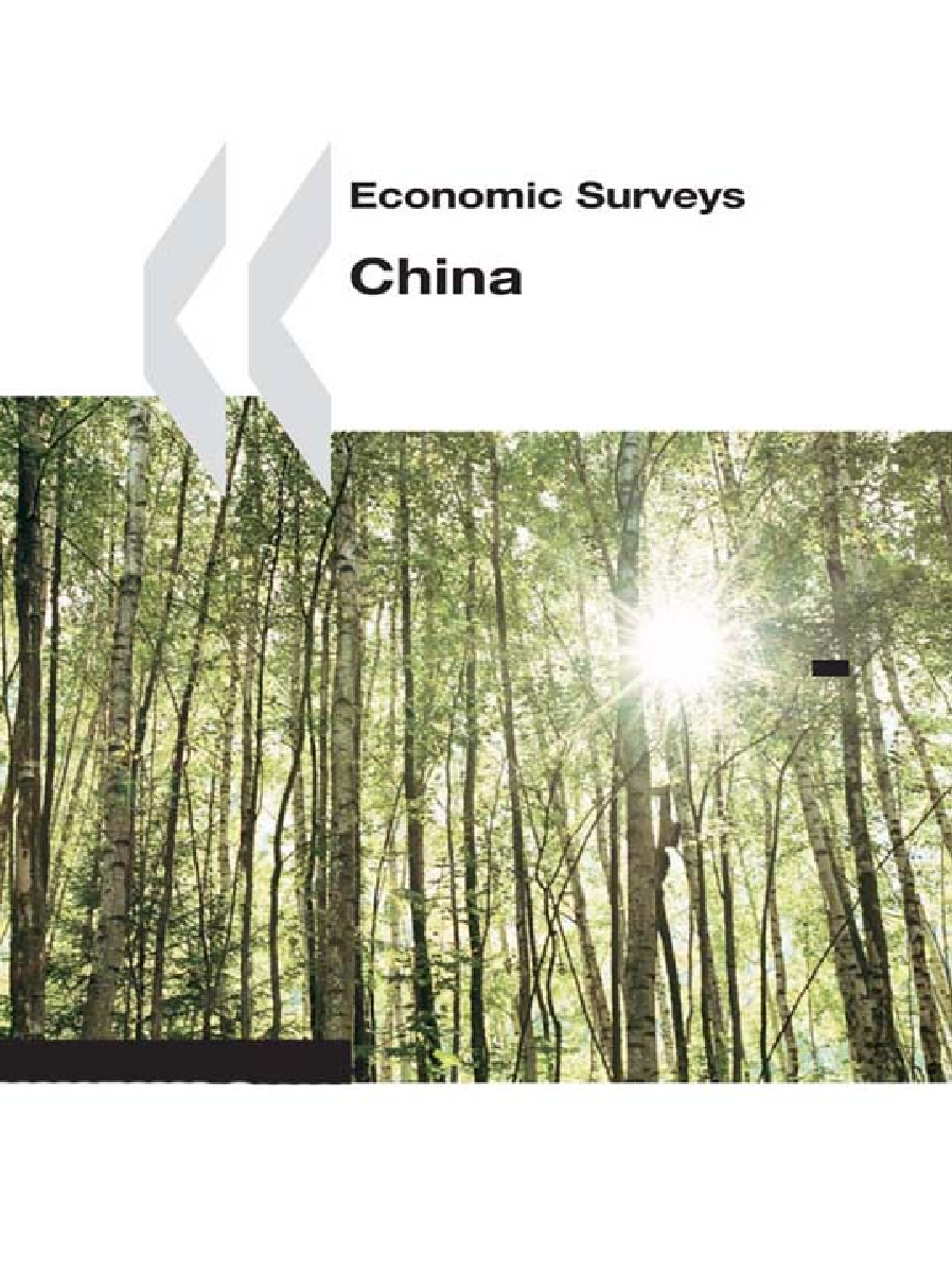 Economic Surveys China 2005 - Page 1