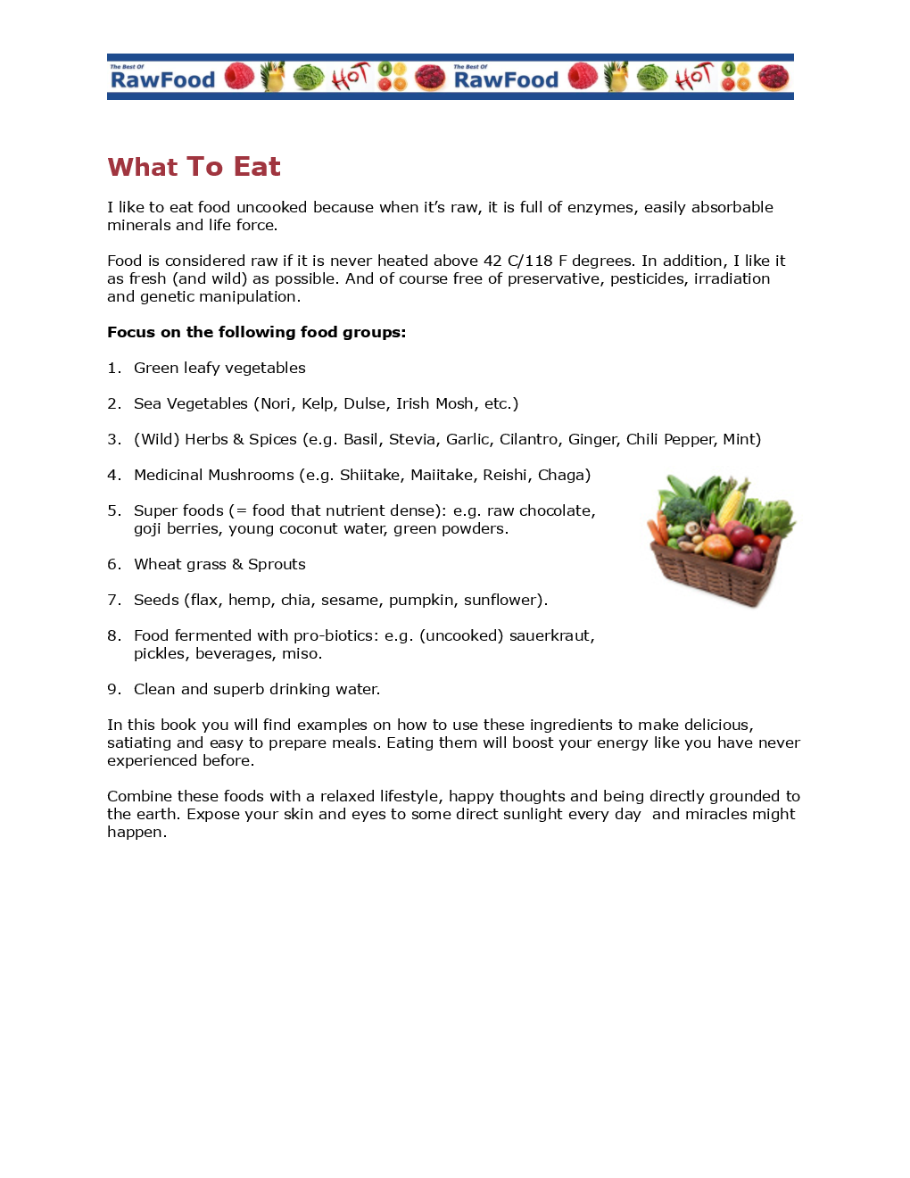 The Best Raw Food Recipes - Page 5