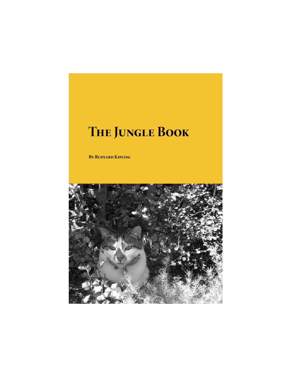 The Jungle Book - Page 1