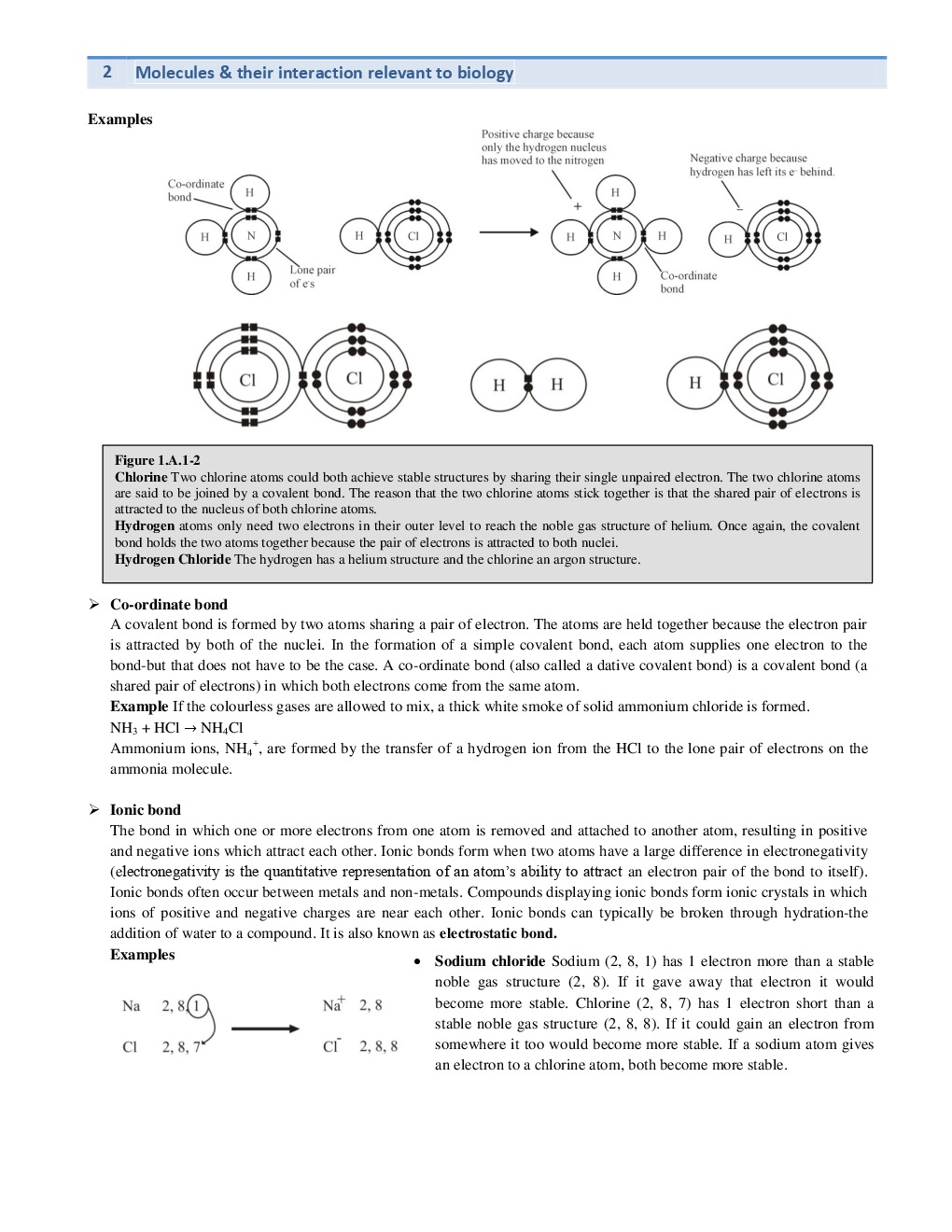 Molecules , Cellular & Fundamental (Life Science) Study Material For CSIR NET Exam - Page 4