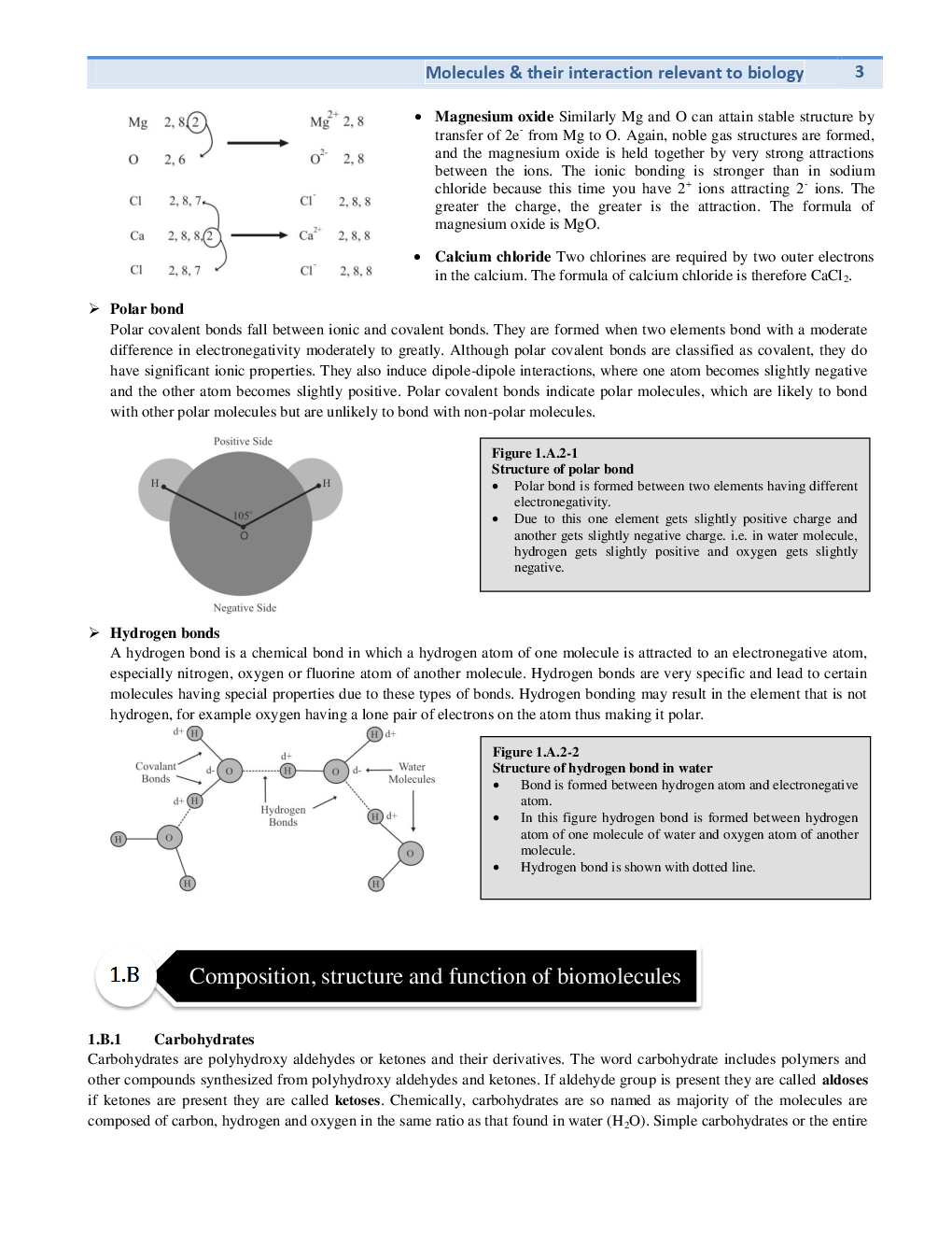 Molecules , Cellular & Fundamental (Life Science) Study Material For CSIR NET Exam - Page 5