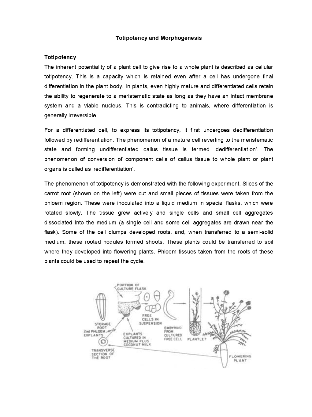 Morphogenesis And Organogenesis In Plants (Life Science) Study Material For CSIR NET Exam - Page 2
