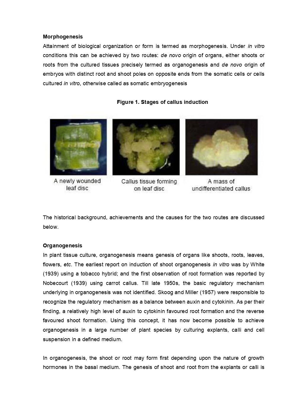 Morphogenesis And Organogenesis In Plants (Life Science) Study Material For CSIR NET Exam - Page 5
