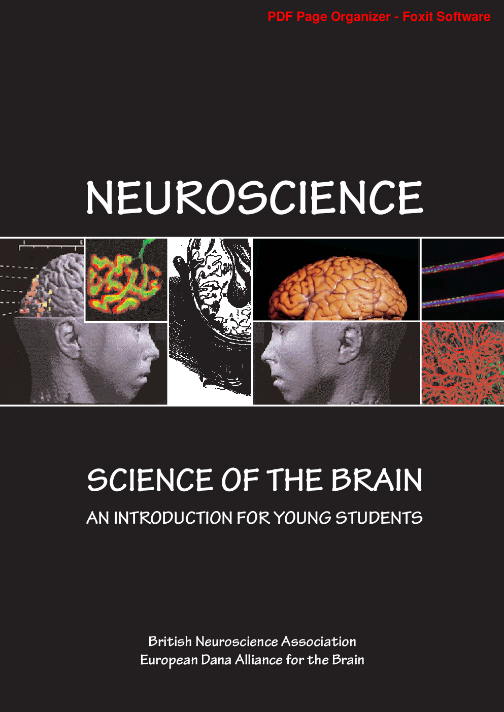 Neuroscience - Page 1