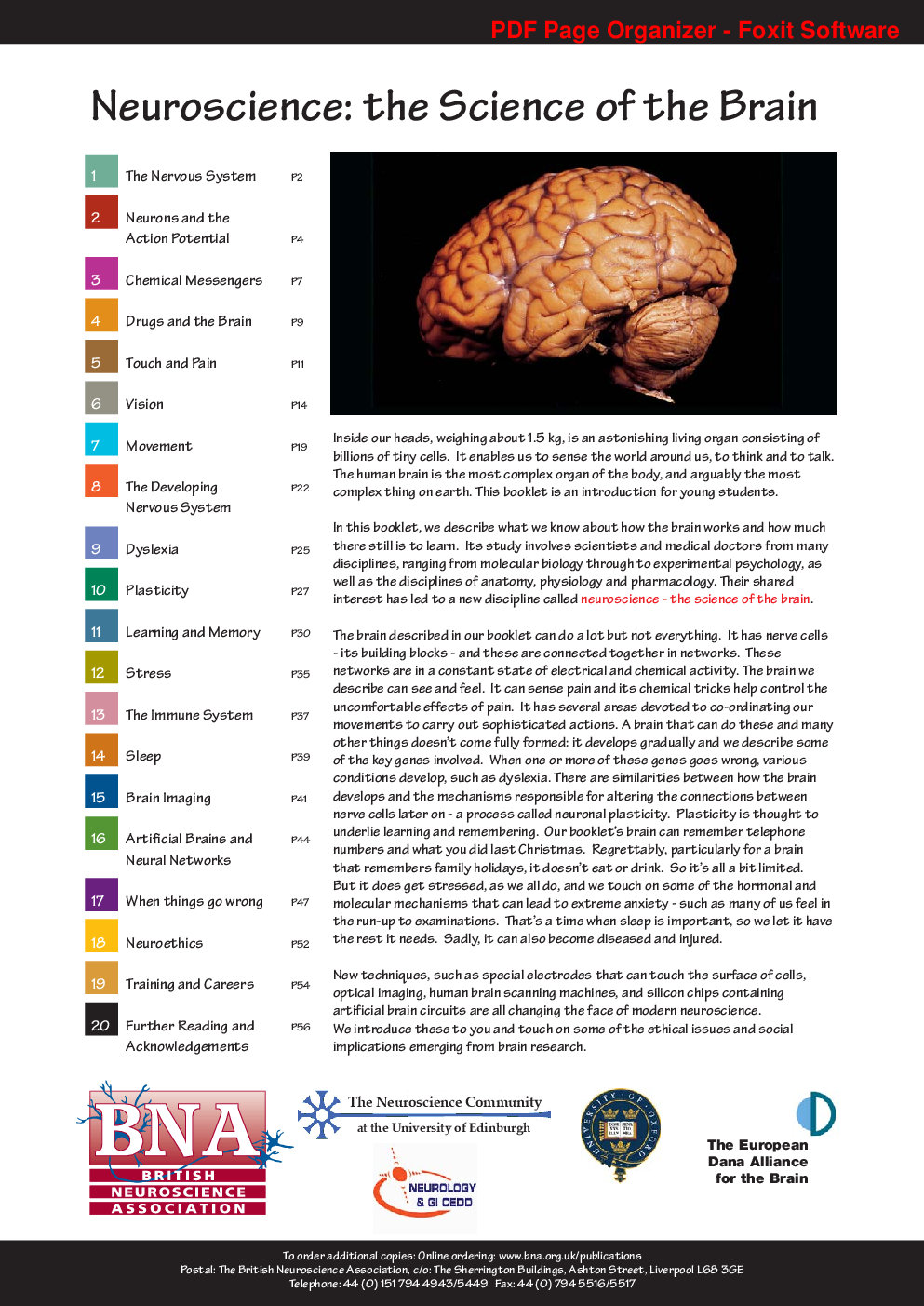 Neuroscience - Page 2