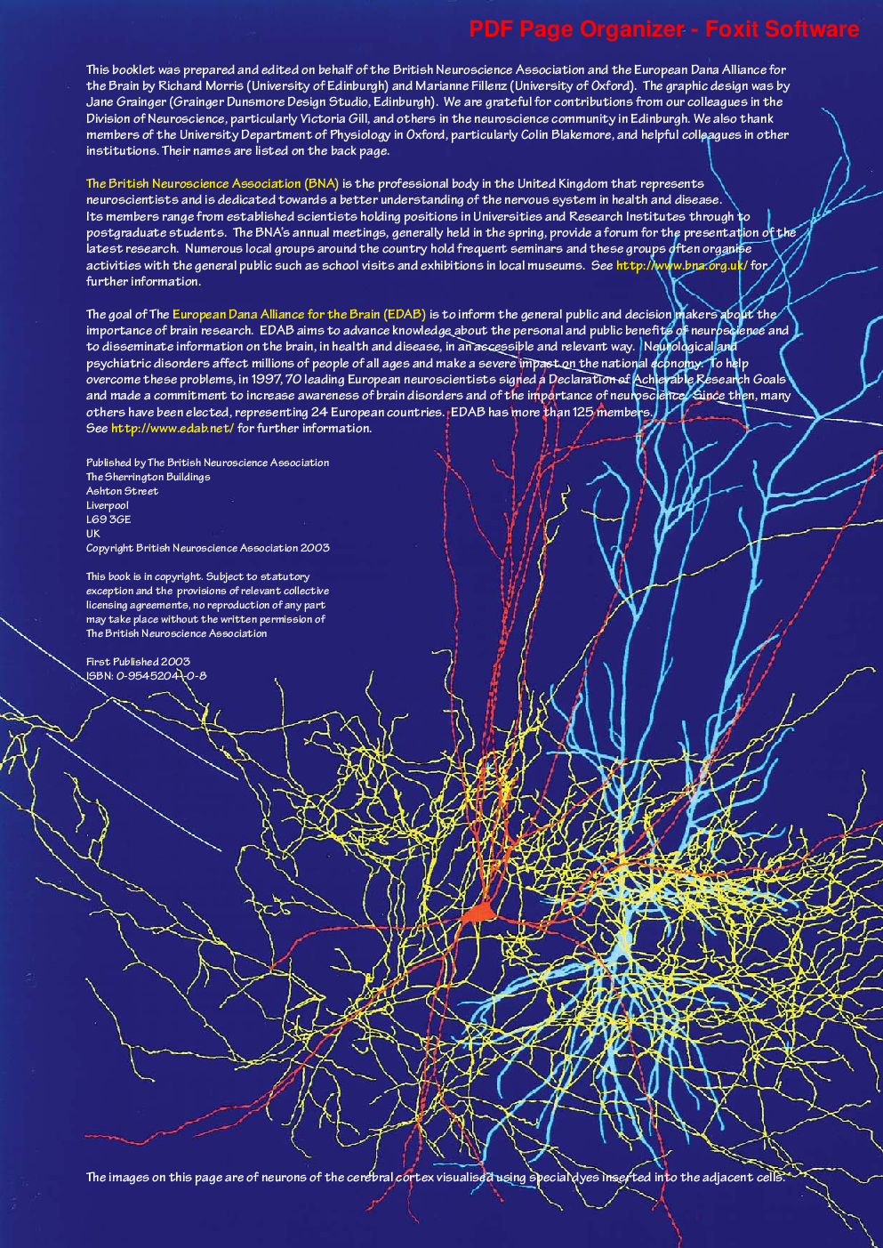 Neuroscience - Page 3
