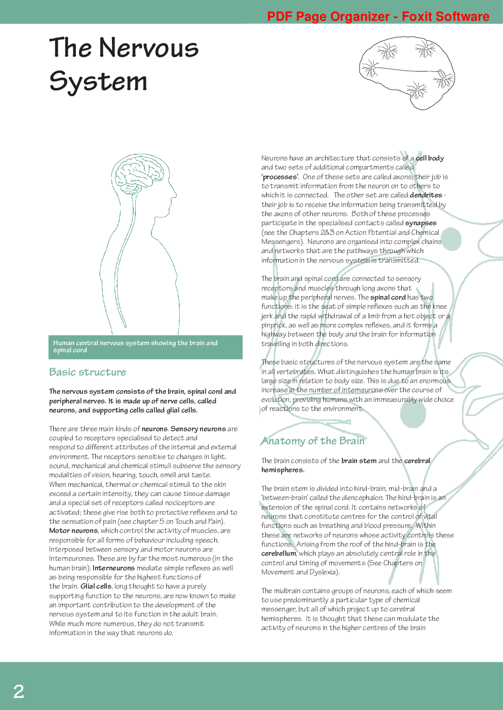 Neuroscience - Page 4