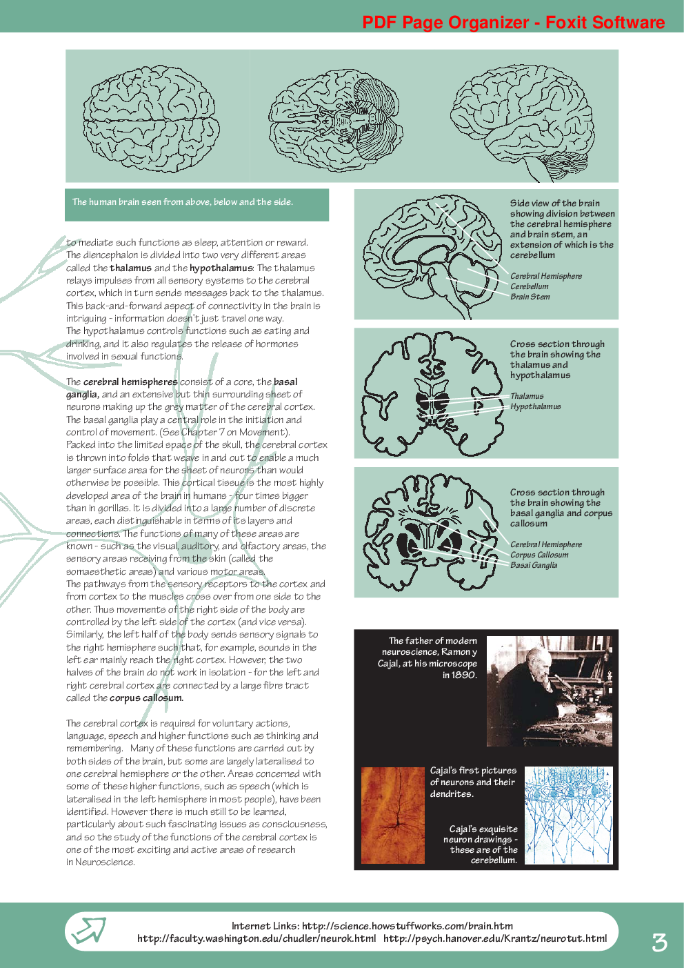 Neuroscience - Page 5