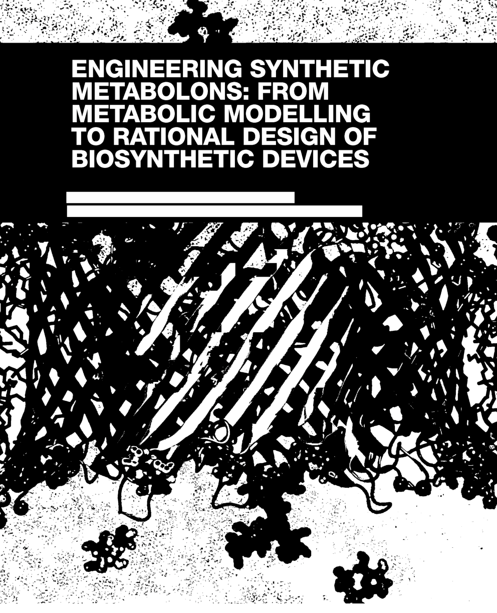 Engineering Synthetic Metabolons From Metabolic Modelling To Rational Design - Page 1
