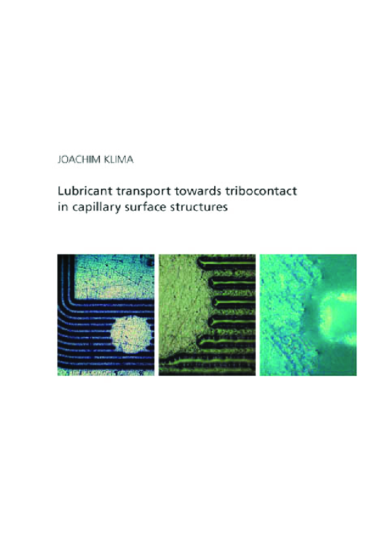 Lubricant Transport Towards Tribocontact In Capillary Surface Structures - Page 1