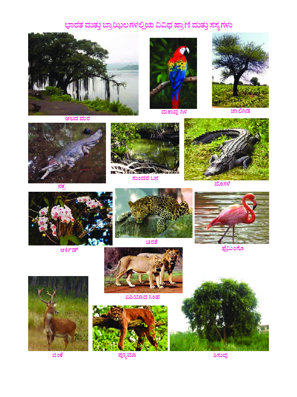 Kannada Geography Textbook For Class-10 - Page 2