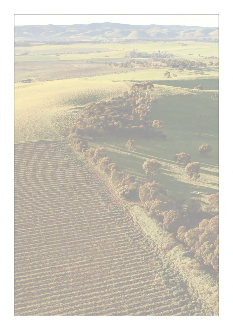 Growth And Cycles In Australia's Wine Industry - Page 2