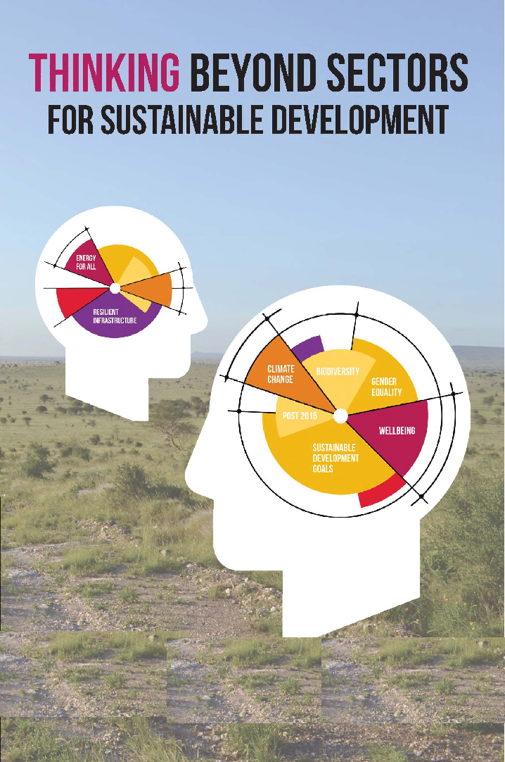 Thinking Beyond Sectors For Sustainable Development - Page 1