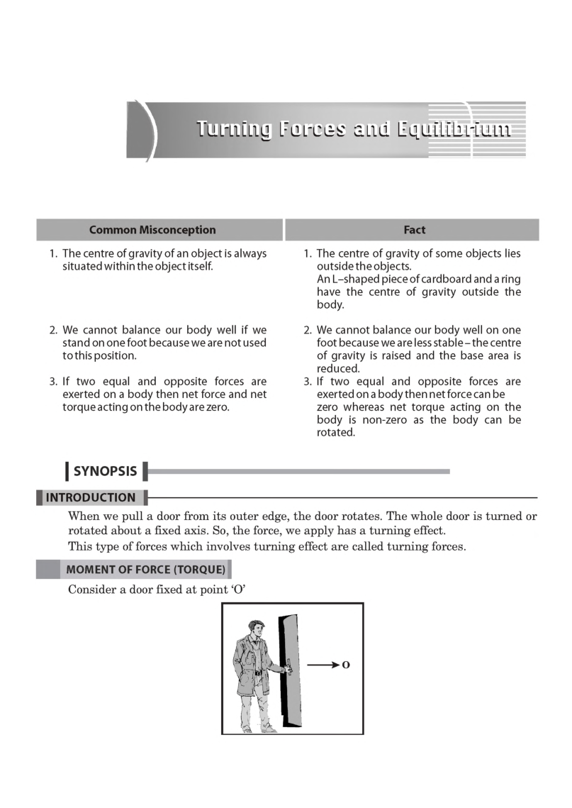 Turning Forces And Equilibrium Study Material For IIT JEE Mains Physics - Page 3