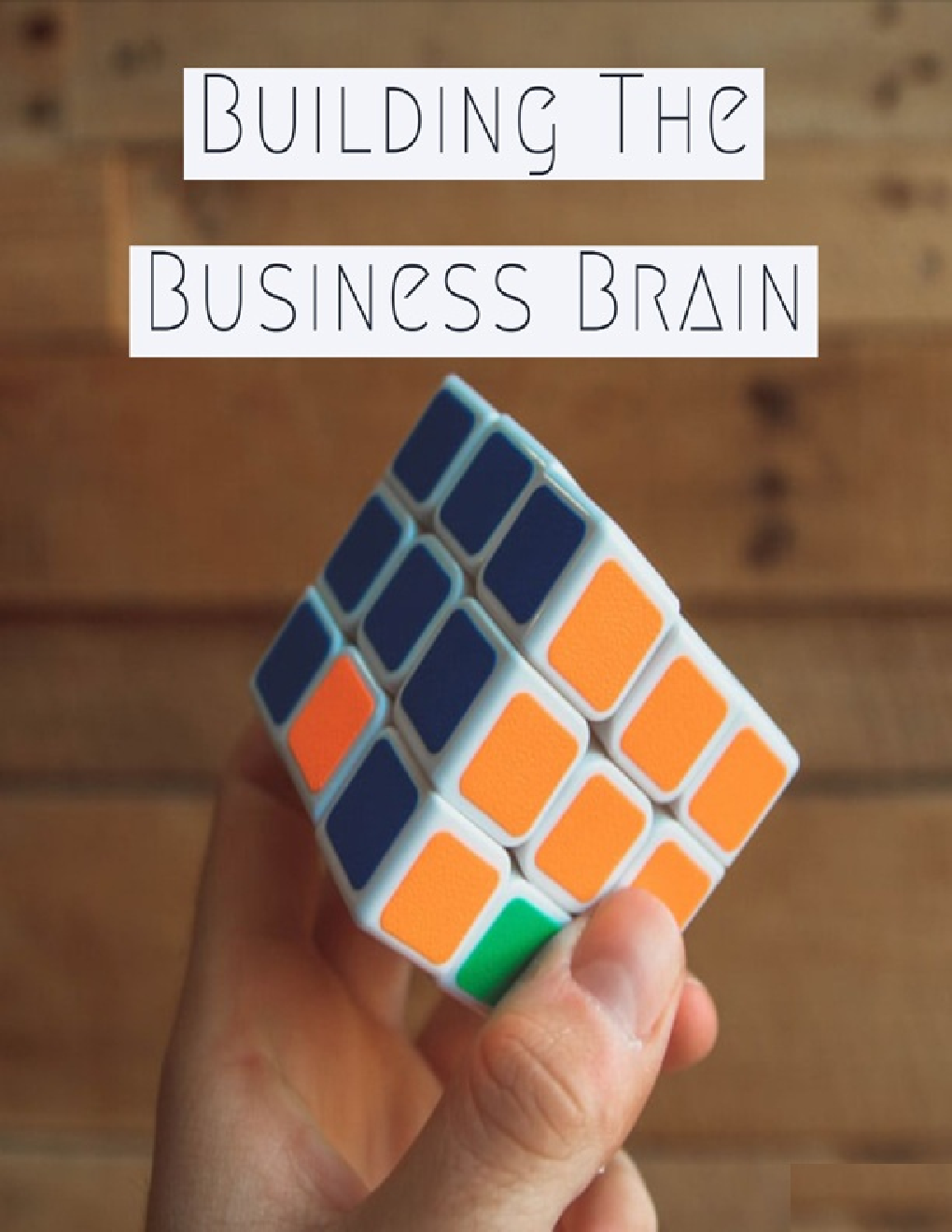 Building The Business Brain - Page 1